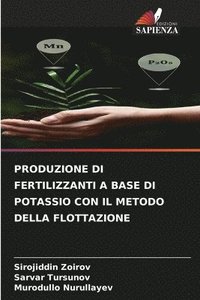 bokomslag Produzione Di Fertilizzanti a Base Di Potassio Con Il Metodo Della Flottazione