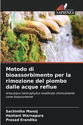 bokomslag Metodo di bioassorbimento per la rimozione del piombo dalle acque reflue