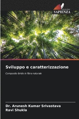 bokomslag Sviluppo e caratterizzazione