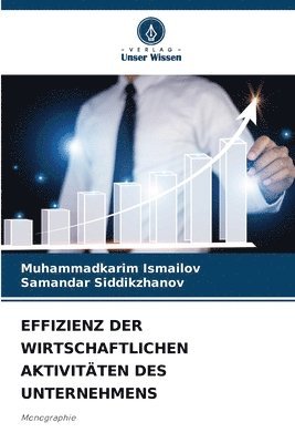 bokomslag Effizienz Der Wirtschaftlichen Aktivitten Des Unternehmens