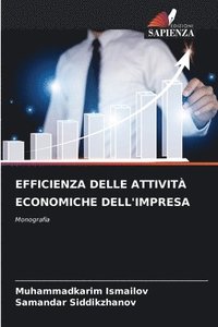 bokomslag Efficienza Delle Attivit Economiche Dell'impresa