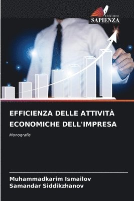 Muhammadkarim Ismailov, Samandar Siddikzhanov - Efficienza Delle Attività Economiche Dell'impresa, Häftad