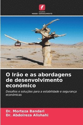 bokomslag O Iro e as abordagens de desenvolvimento econmico