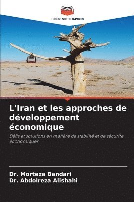 bokomslag L'Iran et les approches de dveloppement conomique