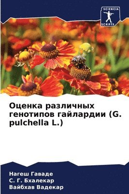 Оценка различных генотипов гайлардии (G. pulchella L.)
