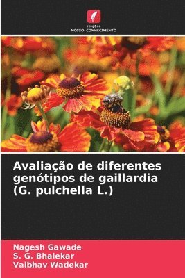 Nagesh Gawade, S G Bhalekar, Vaibhav Wadekar, S. G. Bhalekar - Avaliação de diferentes genótipos de gaillardia (G. pulchella L.), Häftad