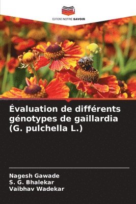 Nagesh Gawade, S G Bhalekar, Vaibhav Wadekar, S. G. Bhalekar - Évaluation de différents génotypes de gaillardia (G. pulchella L.), Häftad