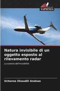 bokomslag Natura invisibile di un oggetto esposto al rilevamento radar