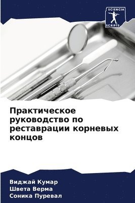 Виджай Кумар, Швета Верма, Соника Пуревал, &#1 &#1050;&#1091;&#1084;&#1072;&#1088;, &#1 &#1042;&#1077;&#1088;&#1084;&#1072;, ¿¿¿¿¿¿ ¿¿¿¿¿, ¿¿¿¿¿ ¿¿¿¿¿, Vidzhaj Kumar - Практическое руководство по реставрации, Häftad