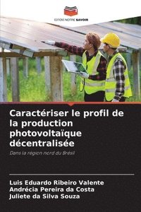 bokomslag Caractriser le profil de la production photovoltaque dcentralise