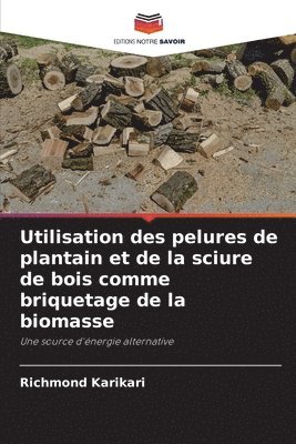 Utilisation des pelures de plantain et de la sciure de bois comme briquetage de la biomasse 1