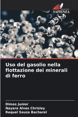 bokomslag Uso del gasolio nella flottazione dei minerali di ferro