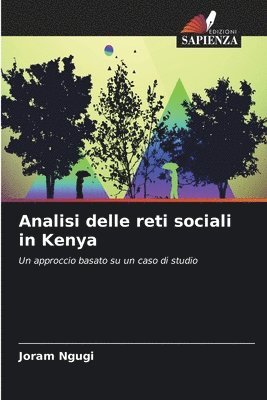 bokomslag Analisi delle reti sociali in Kenya