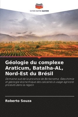 bokomslag Géologie du complexe Araticum, Batalha-AL, Nord-Est du Brésil
