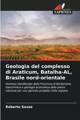 bokomslag Geologia del complesso di Araticum, Batalha-AL, Brasile nord-orientale