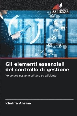 bokomslag Gli elementi essenziali del controllo di gestione