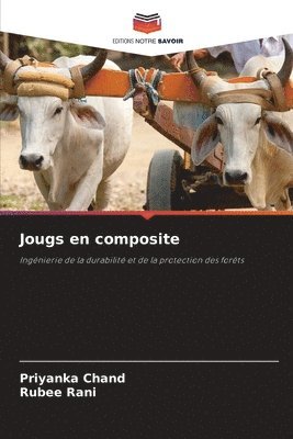 bokomslag Jougs en composite