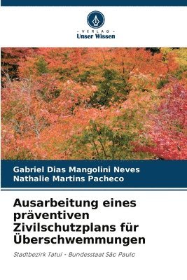 bokomslag Ausarbeitung eines prventiven Zivilschutzplans fr berschwemmungen