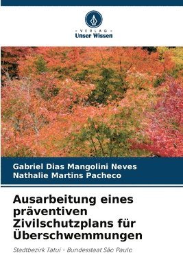 Ausarbeitung eines präventiven Zivilschutzplans für Überschwemmungen