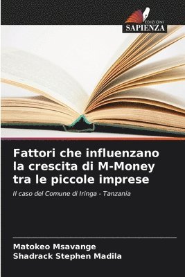 bokomslag Fattori che influenzano la crescita di M-Money tra le piccole imprese