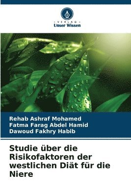 Rehab Ashraf Mohamed, Fatma Farag Abdel Hamid, Dawoud Fakhry Habib - Studie über die Risikofaktoren der westlichen Diät für die Niere, Häftad