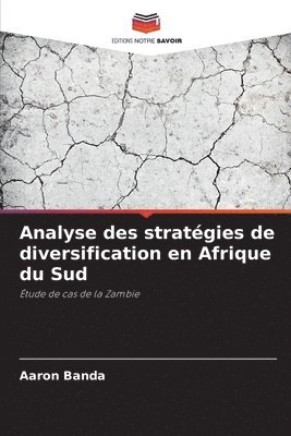 bokomslag Analyse des stratgies de diversification en Afrique du Sud