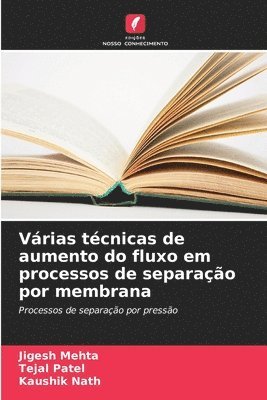 bokomslag Várias técnicas de aumento do fluxo em processos de separação por membrana
