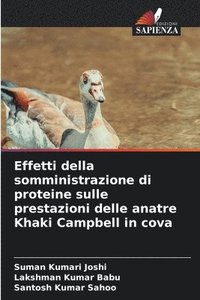 bokomslag Effetti della somministrazione di proteine sulle prestazioni delle anatre Khaki Campbell in cova