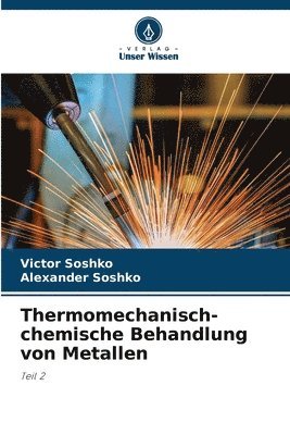 bokomslag Thermomechanisch-chemische Behandlung von Metallen