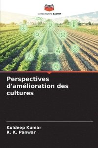 bokomslag Perspectives d'amlioration des cultures