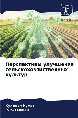 Кулдееп Кумар, Р. К. Панвар - Перспективы улучшения сельскохозяйстве&#, Häftad