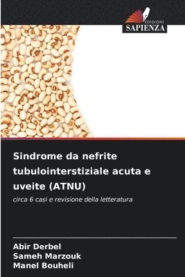 bokomslag Sindrome da nefrite tubulointerstiziale acuta e uveite (ATNU)