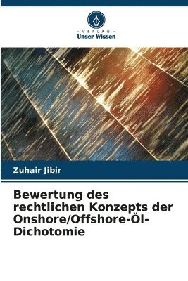 bokomslag Bewertung des rechtlichen Konzepts der Onshore/Offshore-l-Dichotomie