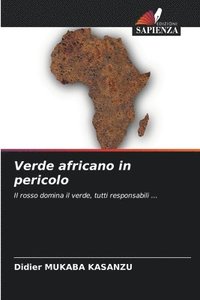 bokomslag Verde africano in pericolo