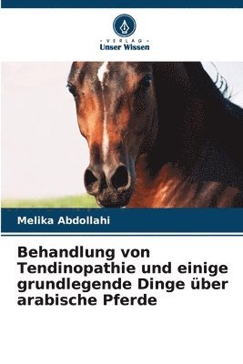 bokomslag Behandlung von Tendinopathie und einige grundlegende Dinge über arabische Pferde