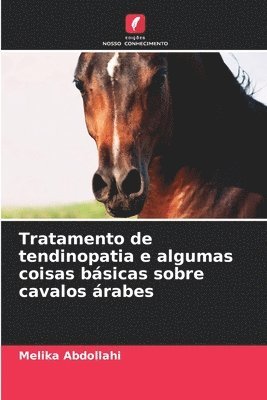 Tratamento de tendinopatia e algumas coisas básicas sobre cavalos árabes