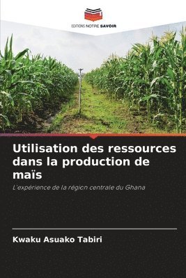bokomslag Utilisation des ressources dans la production de maïs