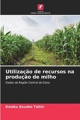 Kwaku Asuako Tabiri - Utilização de recursos na produção de milho, Häftad