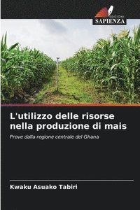 bokomslag L'utilizzo delle risorse nella produzione di mais