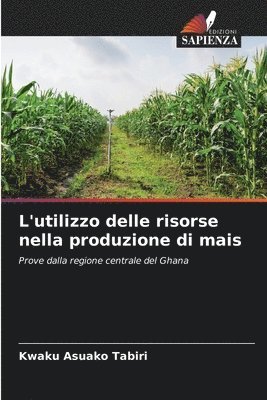 bokomslag L'utilizzo delle risorse nella produzione di mais