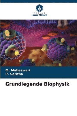 bokomslag Grundlegende Biophysik