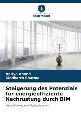 bokomslag Steigerung des Potenzials fr energieeffiziente Nachrstung durch BIM