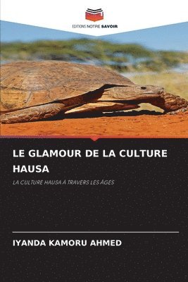 Le Glamour de la Culture Hausa 1