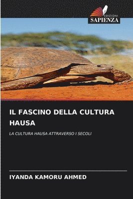 Il Fascino Della Cultura Hausa 1