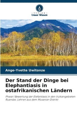 bokomslag Der Stand der Dinge bei Elephantiasis in ostafrikanischen Lndern