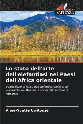 bokomslag Lo stato dell'arte dell'elefantiasi nei Paesi dell'Africa orientale