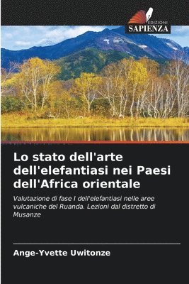 Ange-Yvette Uwitonze - Lo stato dell'arte dell'elefantiasi nei Paesi dell'Africa orientale, Häftad