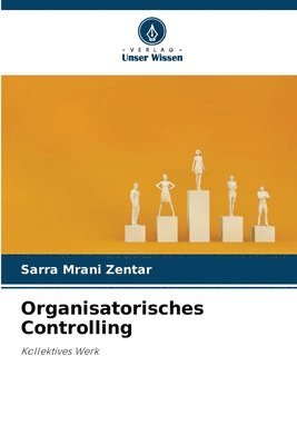 bokomslag Organisatorisches Controlling