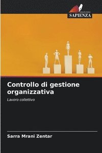 bokomslag Controllo di gestione organizzativa