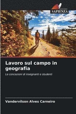 bokomslag Lavoro sul campo in geografia